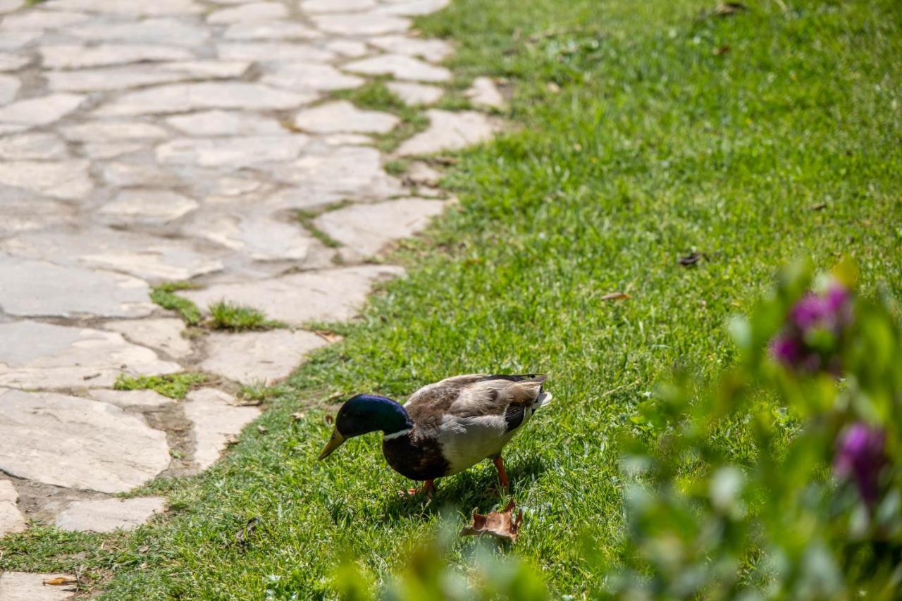 Garden & Beach - Torremolinos Luaran gambar